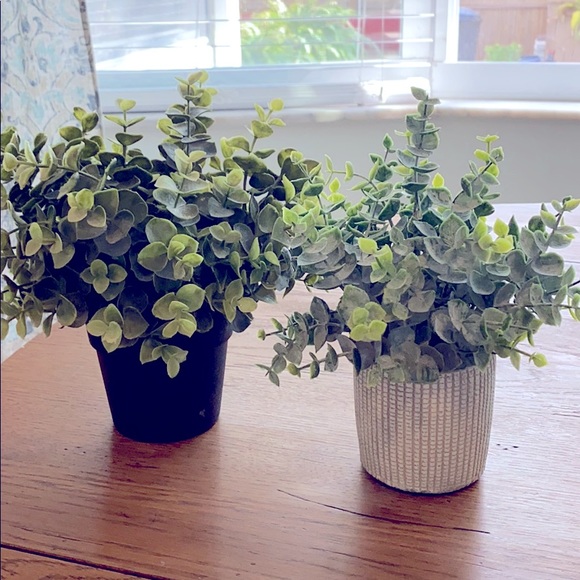 Set of 2 artificial greenery EUC
